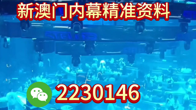 新奧2025今晚開獎資料詳解，新奧2025今晚開獎資料全面解析
