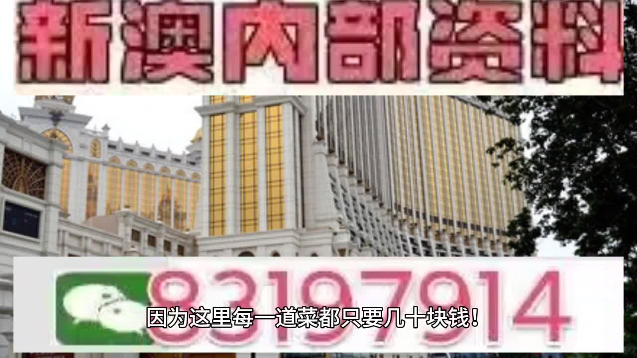 澳門六肖中特馬，探索與解讀，澳門六肖中特馬的探索與解讀指南