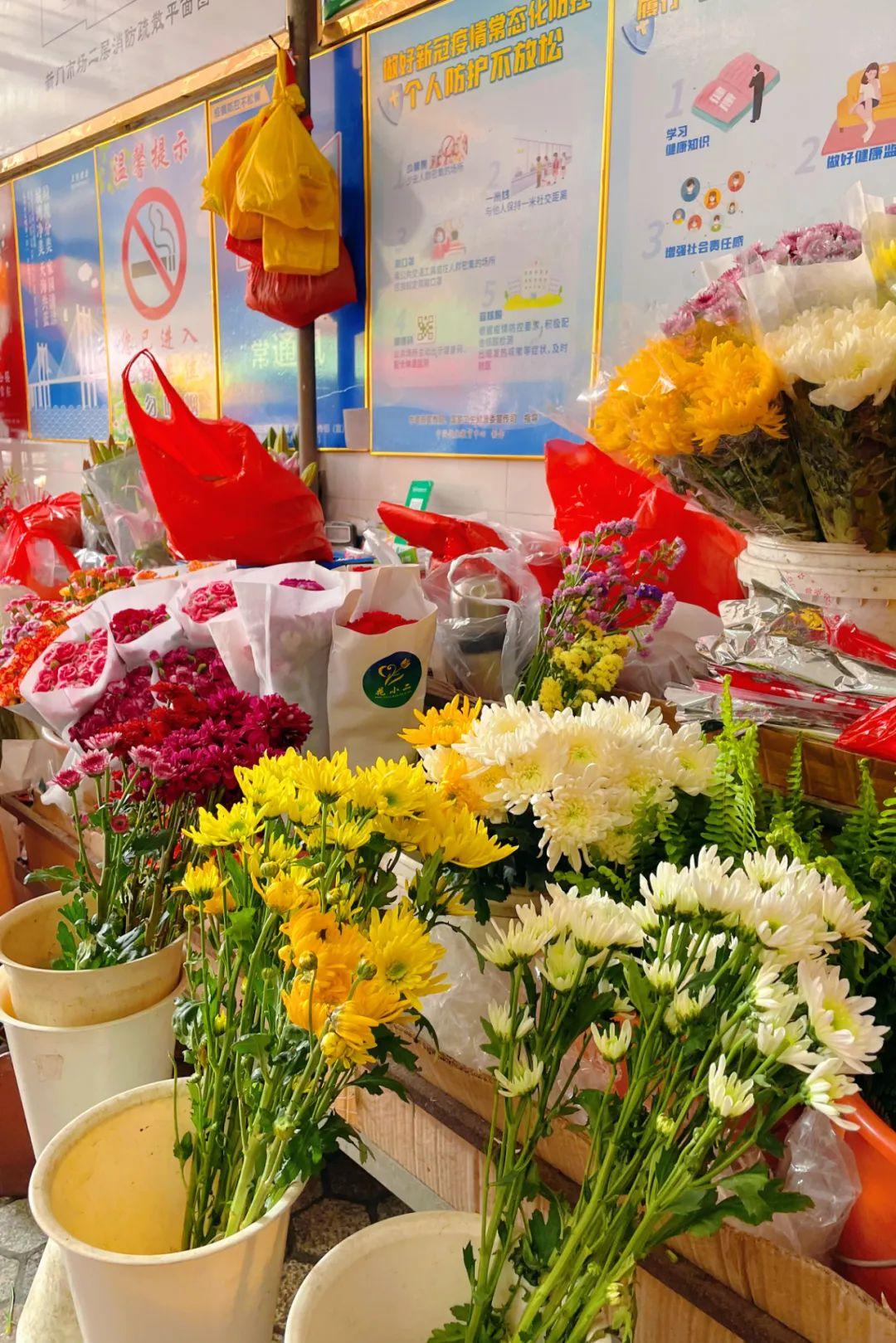 新門內(nèi)部資料最快更新，深度探索與前沿洞察，新門內(nèi)部資料更新速遞，深度探索與前沿洞察揭秘