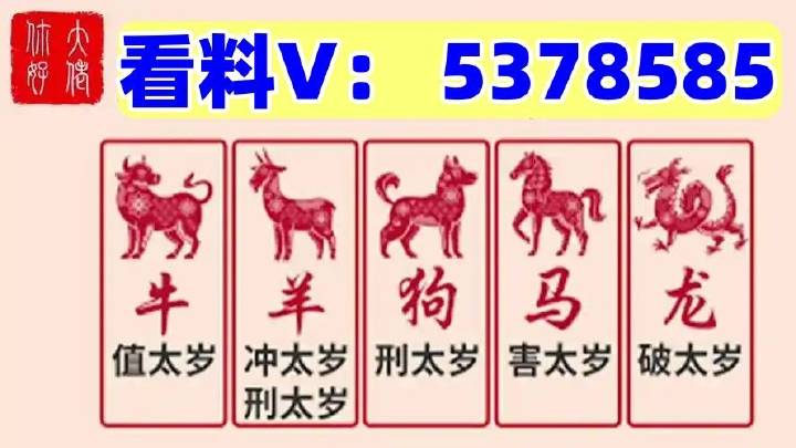 澳門特馬開獎結(jié)果，探索與預(yù)測（2025年展望），澳門特馬開獎結(jié)果展望，未來趨勢分析與預(yù)測（2025年展望）