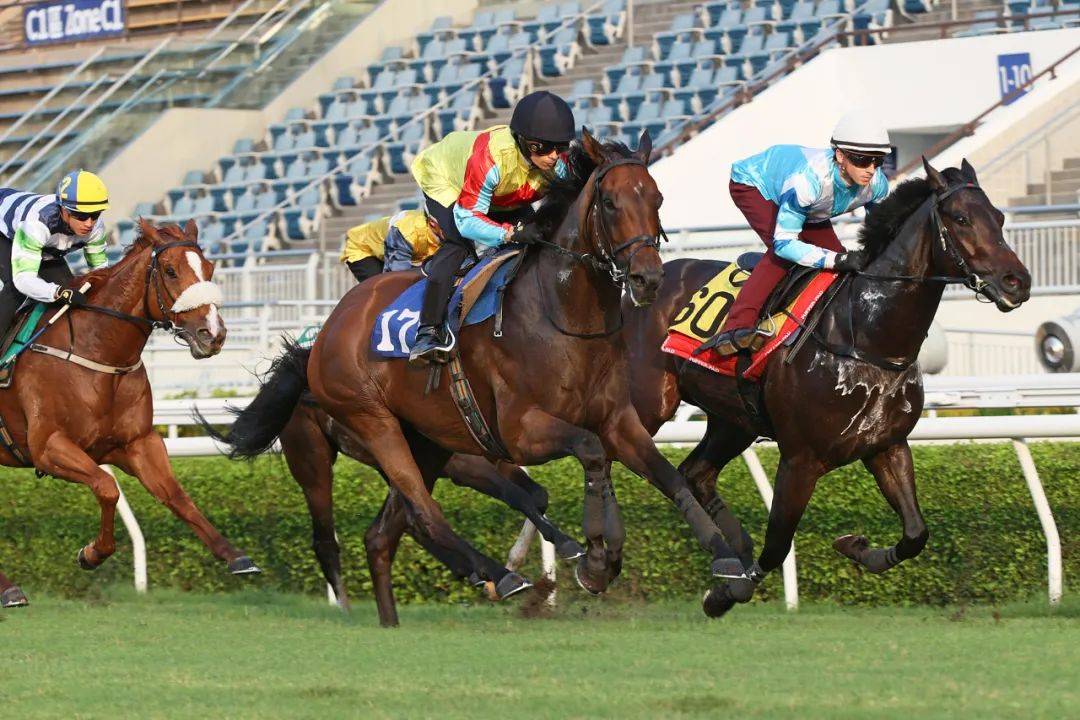 香港馬，77777與88888的傳奇故事，香港賽馬傳奇，77777與88888的傳奇篇章