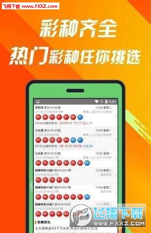 王中王493333中特馬特色的探索與解析，王中王493333中特馬特色的深度解析與探索