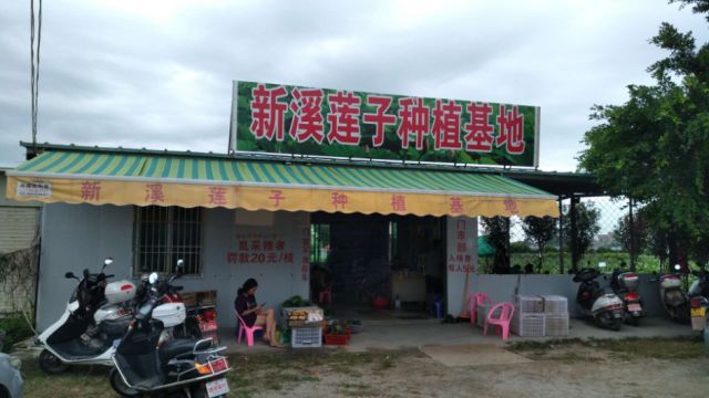 新溪門免費資料大全，探索與收獲，新溪門免費資料探索之旅，收獲與成長
