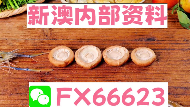 新澳全年免費資料大全，探索與收獲，新澳全年免費資料大全，探索之旅與收獲的時刻