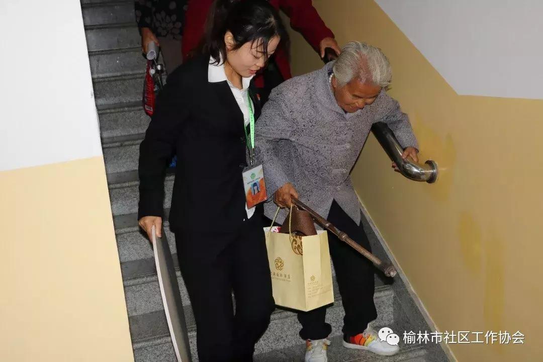 天天免費(fèi)資料彩票大全，探索彩票世界的奧秘與機(jī)遇，天天免費(fèi)資料彩票大全，揭秘彩票世界的奧秘與機(jī)遇