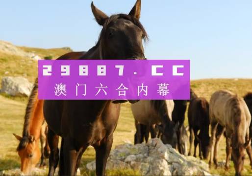 新澳門管家婆一特一中，探索現(xiàn)代博彩管理的典范，現(xiàn)代博彩管理典范，澳門管家婆一特一中探索之路