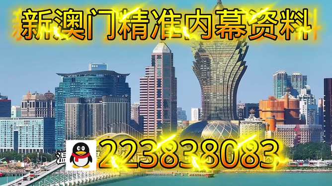 探索新澳門正版內(nèi)部，一個多元化的未來展望（至2025年），澳門未來展望，探索多元化發(fā)展之路至2025年