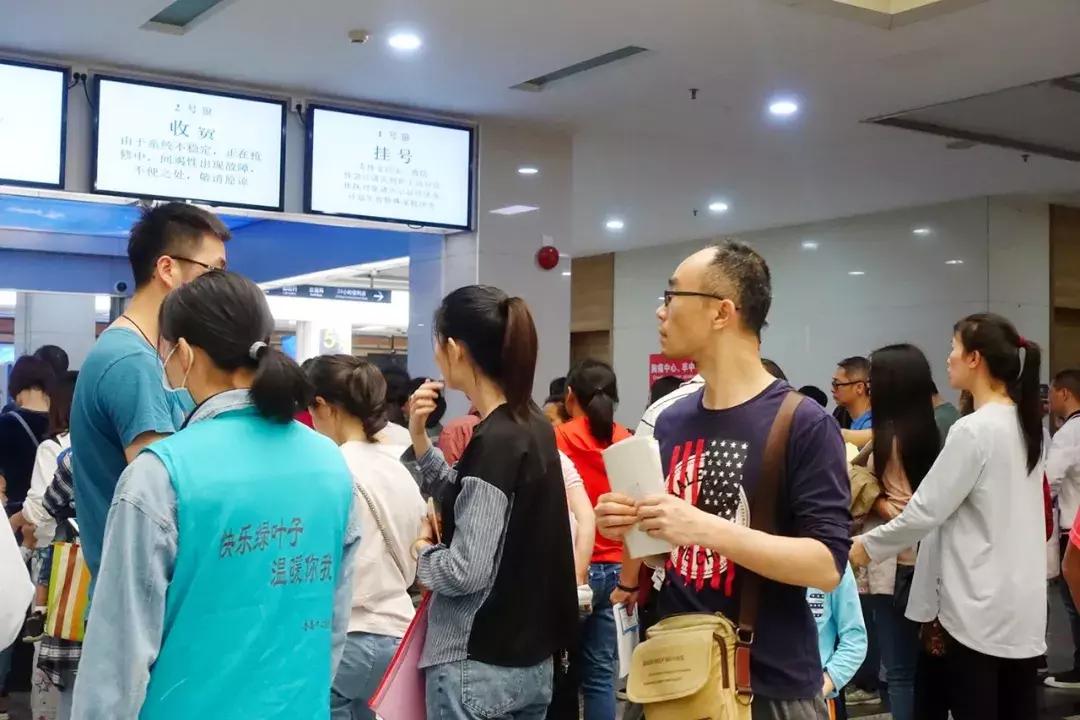 新門內(nèi)部免費資料大全，探索知識的寶庫，新門內(nèi)部知識寶庫，免費資料大全探索之旅