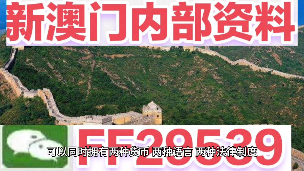 新澳門(mén)今晚開(kāi)獎(jiǎng)結(jié)果號(hào)碼查詢(xún)表，探索彩票世界的神秘與期待，新澳門(mén)今晚開(kāi)獎(jiǎng)結(jié)果查詢(xún)表，揭開(kāi)彩票世界的神秘面紗與期待