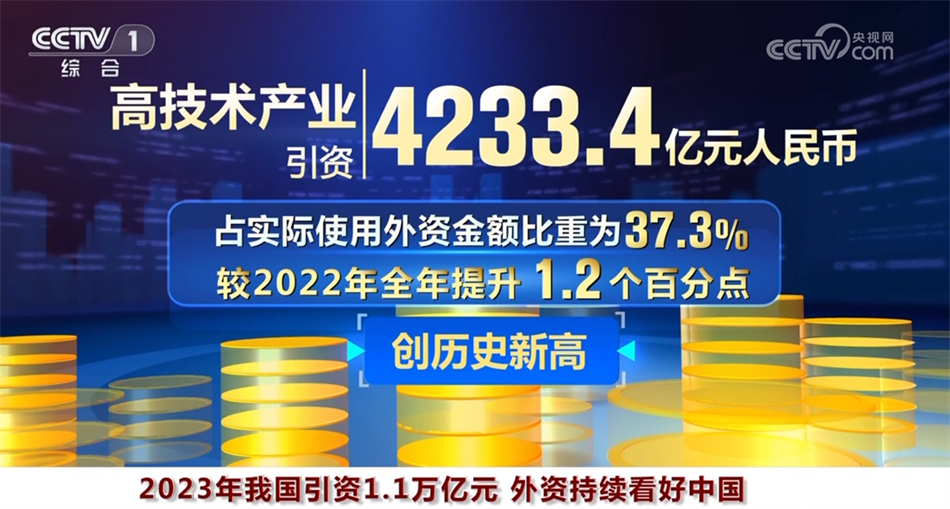 探索數(shù)字世界中的王中王，特點與亮點解析，數(shù)字世界中的王中王，特點與亮點深度解析