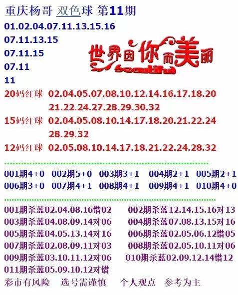 新門(mén)內(nèi)部資料大全免費(fèi)查詢，探索與啟示，新門(mén)內(nèi)部資料免費(fèi)探索，啟示與大全查詢