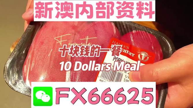 探索未來(lái)，揭秘2025新奧精準(zhǔn)正版資料的價(jià)值與影響，揭秘未來(lái)之門(mén)，2025新奧精準(zhǔn)正版資料的價(jià)值與影響探索