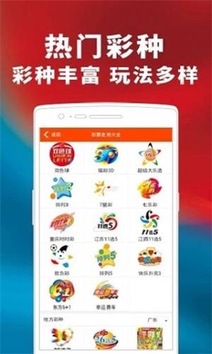 管家婆神秘面紗