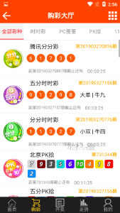 揭秘493333王中王中的開獎特色，揭秘493333王中王彩票開獎特色