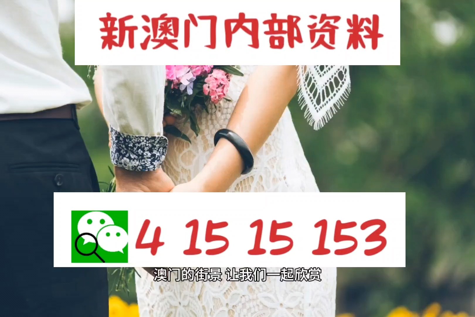 澳門(mén)六肖中特馬，探索與解讀，澳門(mén)六肖中特馬的探索與解讀指南
