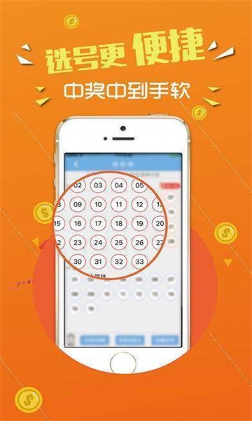 王中王論壇，心水交匯的智慧之地，王中王論壇，智慧交匯的心靈之地