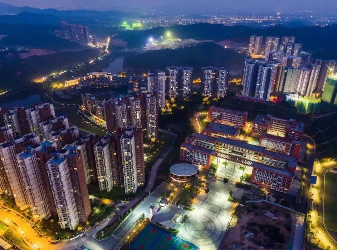2025正版免費(fèi)資本的世界