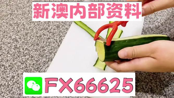 澳門管家婆100中獎，揭秘彩票背后的故事與啟示，澳門管家婆彩票背后的故事與啟示，揭秘中獎真相