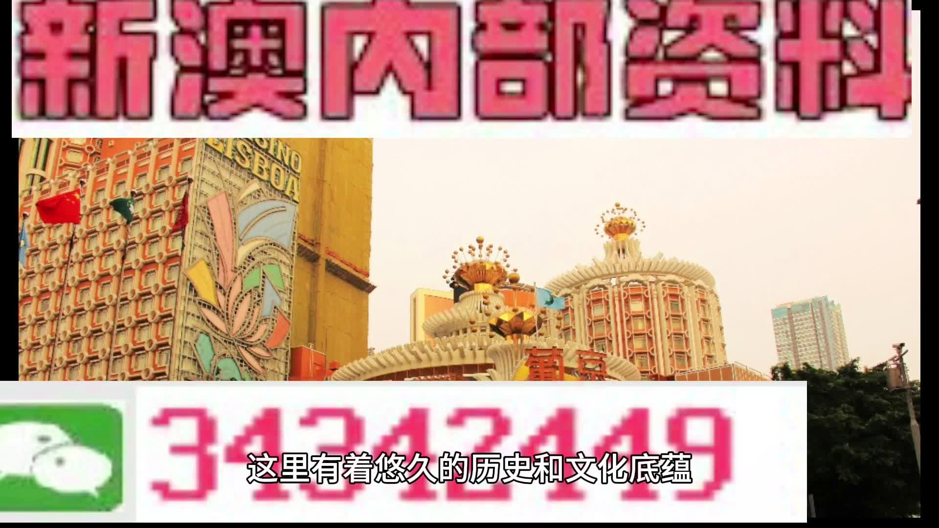 新門內(nèi)部免費資料大全，探索與啟示，新門內(nèi)部資料探索與啟示，免費資料大全