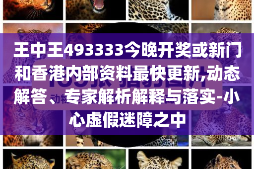 王中王493333中特大全，探索神秘數(shù)字的魅力與內(nèi)涵，王中王493333中的神秘數(shù)字魅力與內(nèi)涵探索