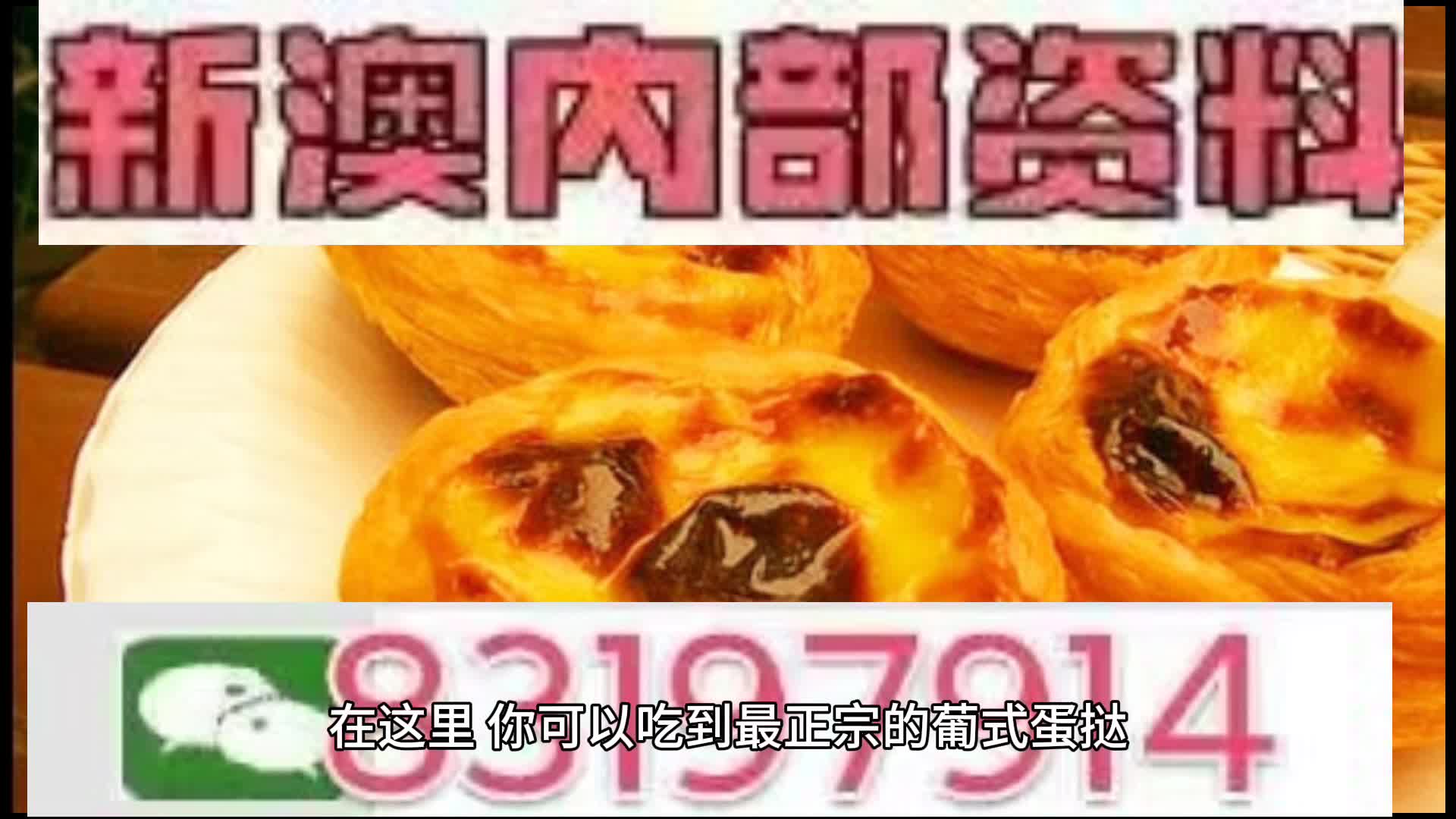 探索未來的澳門，新澳門中特網(wǎng)的發(fā)展與展望，澳門未來探索，新澳門中特網(wǎng)的發(fā)展展望