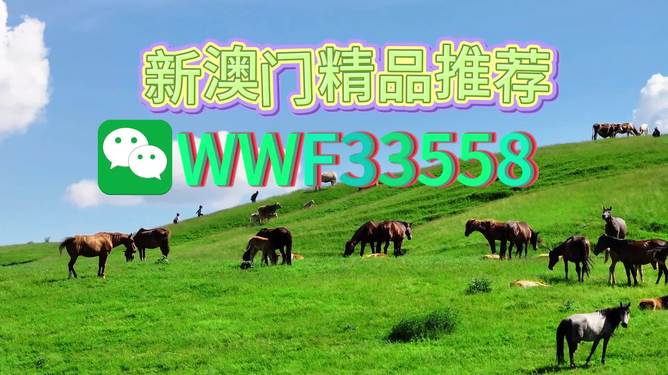 揭秘精準四生肖，探尋數字組合77777與88888背后的奧秘，揭秘精準四生肖與神秘數字組合77777與88888的奧秘探索