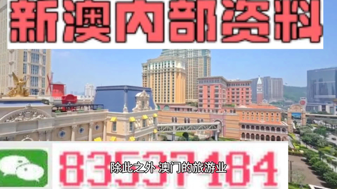 新澳門(mén)內(nèi)部精準(zhǔn)公開(kāi)的多元發(fā)展與活力展望，澳門(mén)多元發(fā)展的活力展望與內(nèi)部精準(zhǔn)公開(kāi)新動(dòng)向