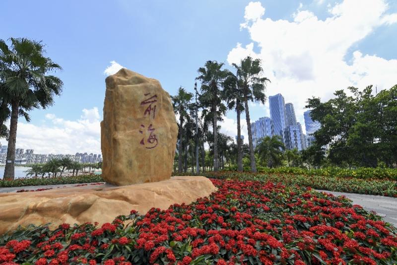 新澳門內(nèi)部精準(zhǔn)公開，探索與解讀，澳門內(nèi)部精準(zhǔn)解讀，探索與揭秘