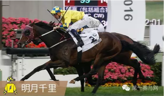 香港馬，77777與88888的傳奇故事，香港賽馬傳奇，77777與88888的傳奇篇章