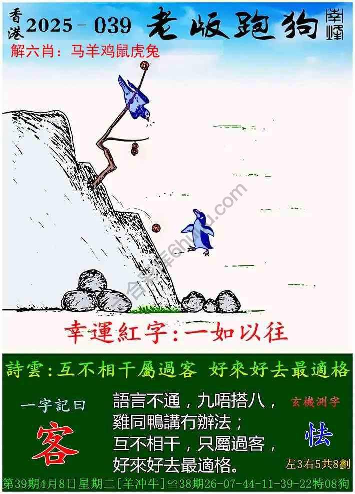 探索全新體驗，7777788888新版跑狗，探索全新跑狗體驗，7777788888新版來襲