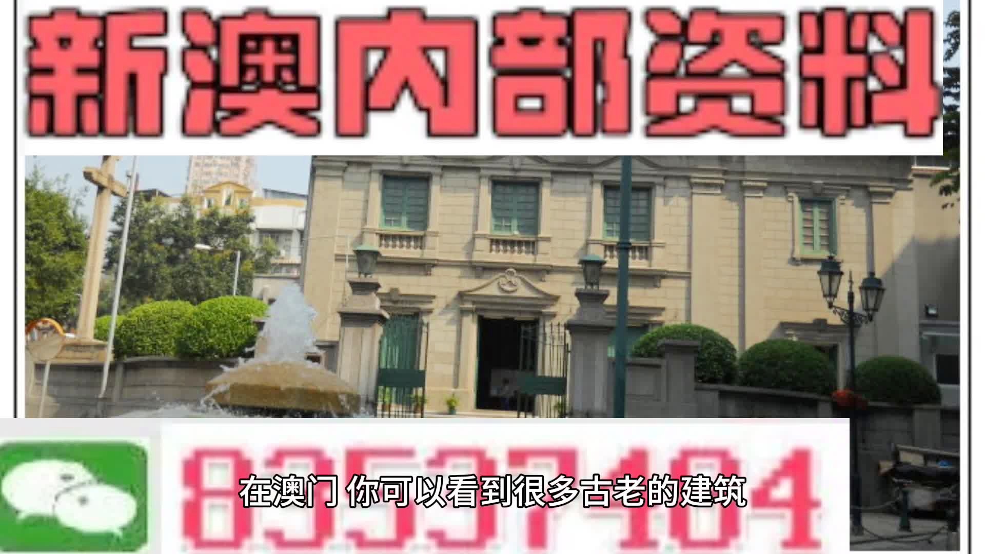 新門內(nèi)部免費資料大全，探索知識的寶庫，新門內(nèi)部知識寶庫，免費資料大全探索之旅